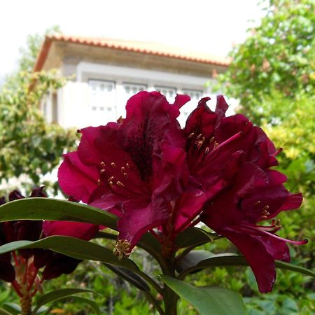 Quinta Do Bento Novo - Casa De Campo - Turismo Rural Viana do Castelo Exteriér fotografie