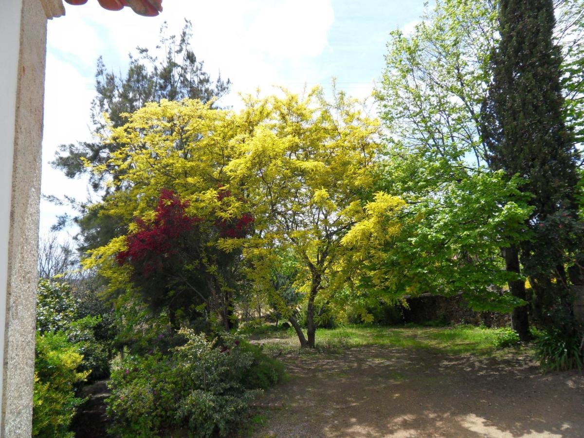 Quinta Do Bento Novo - Casa De Campo - Turismo Rural Viana do Castelo Exteriér fotografie