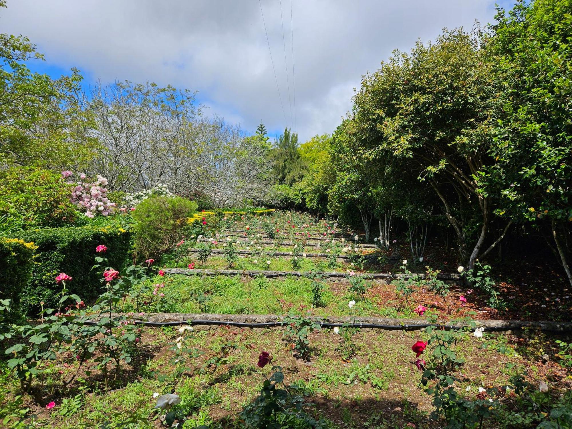 Quinta Do Bento Novo - Casa De Campo - Turismo Rural Viana do Castelo Exteriér fotografie